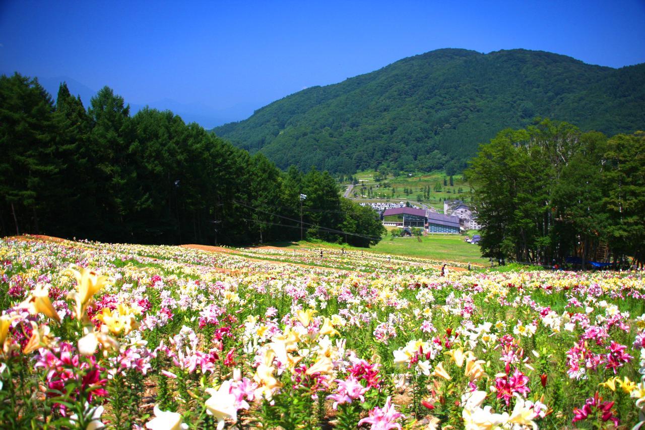 Hotel Harvest Madarao Shinano  Eksteriør bilde